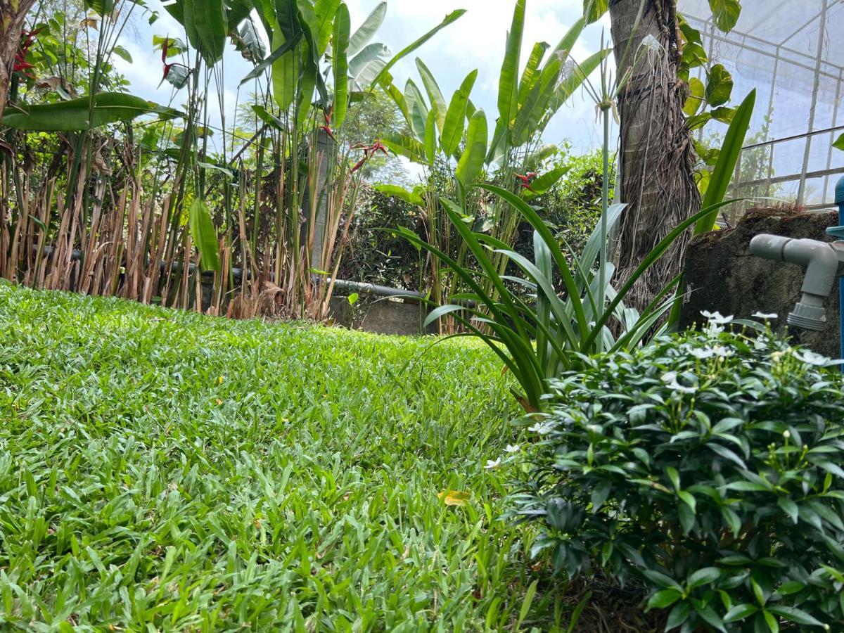 Tropical Garden Phu Quoc Apartman Kültér fotó