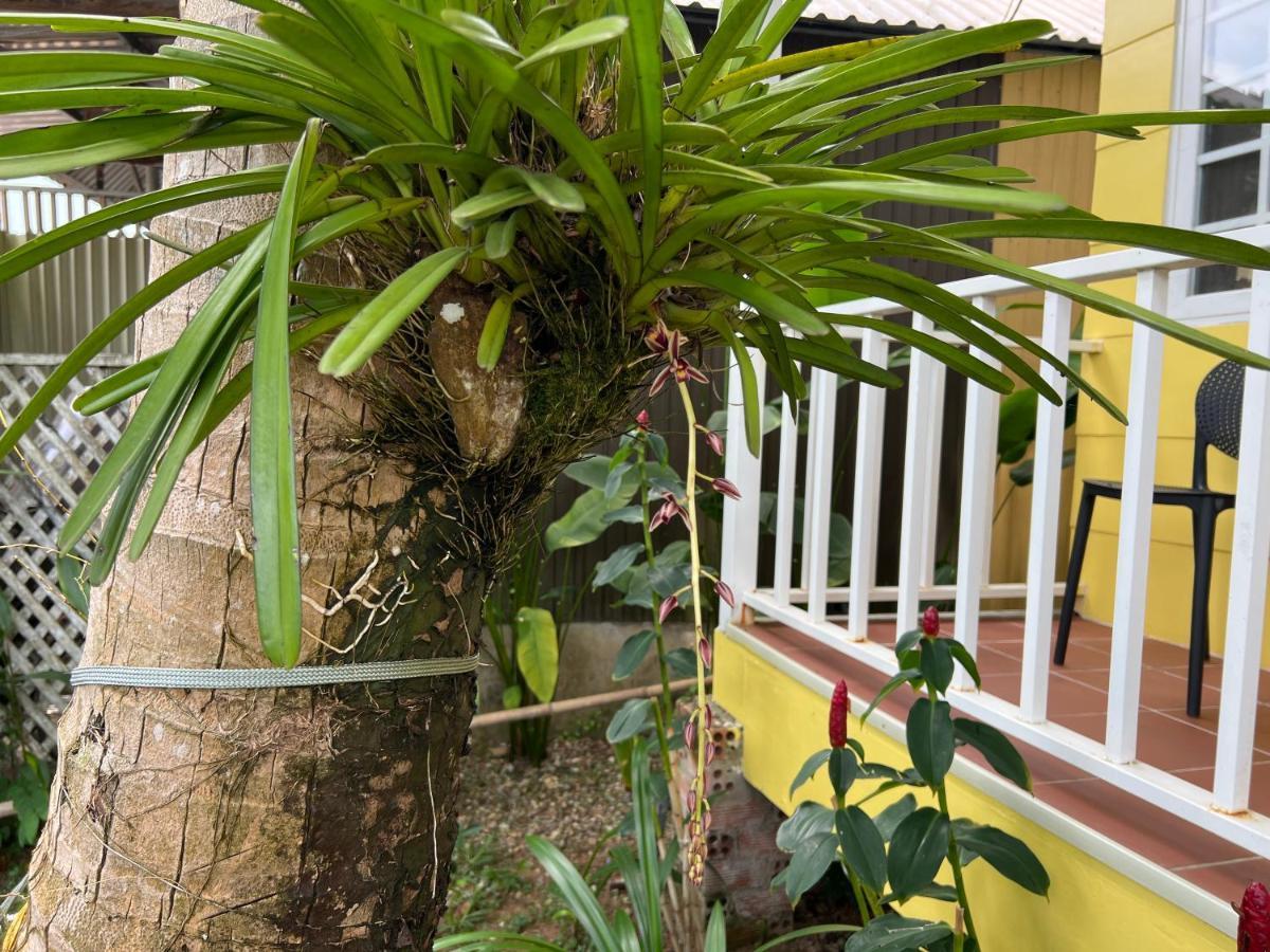 Tropical Garden Phu Quoc Apartman Kültér fotó