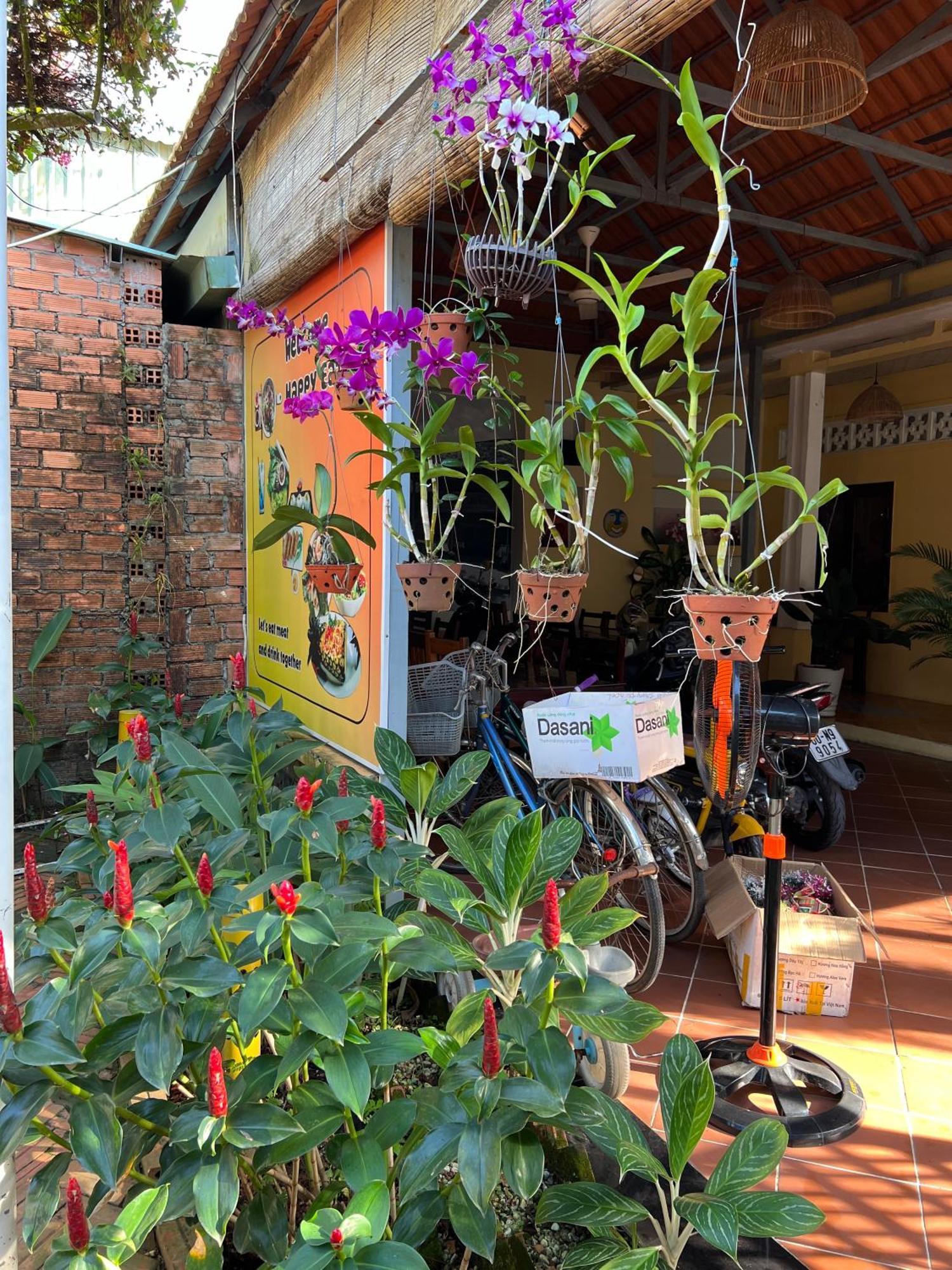 Tropical Garden Phu Quoc Apartman Kültér fotó